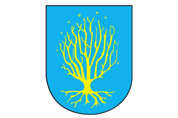 Logo Urząd Miejski w Orzeszu, referencje RIG Office